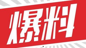 独家爆料素材,震惊内幕，揭秘某事件背后惊人真相！